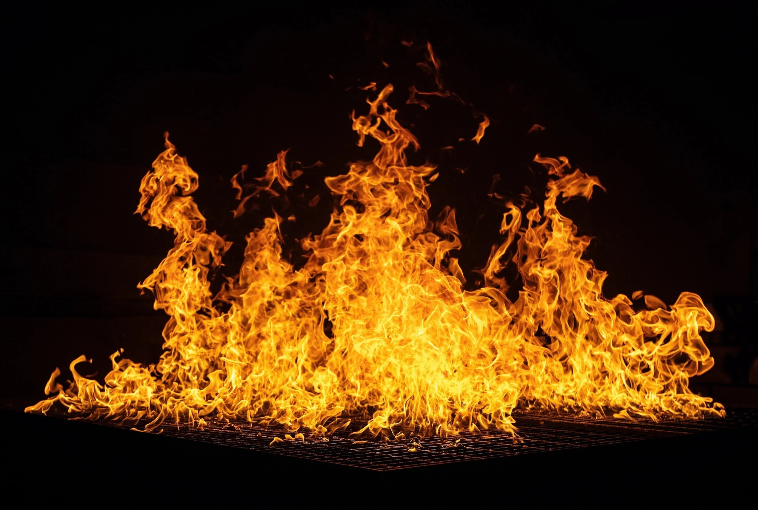 Why Everyone Should Start A FIRE Journey